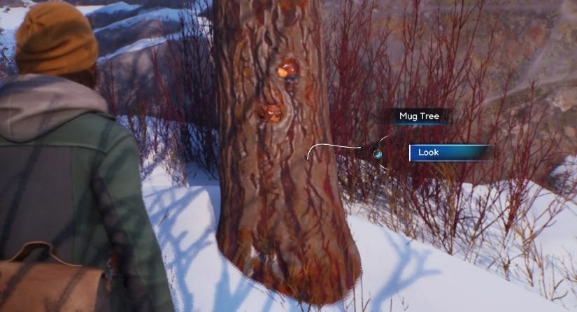 Life is Strange: Double Exposure